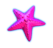 Ace Win Grand Blue Slot Paytable: starfish Ace Win Grand Blue Slot Paytable: starfish