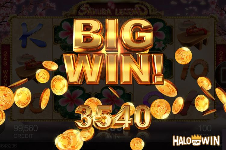Bet 100 pesos and win 3,540 pesos on Sakura Legend Big Win.