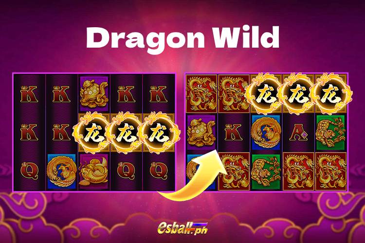JDB Dragon Soar Hyper Wild Slot Game- Dragon Wild JDB Dragon Soar Hyper Wild Slot Game- Dragon Wild