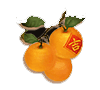 JDB New Year Slot Demo Online Game Paytable 5 JDB New Year Slot Demo Online Game Paytable 5