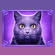 Witches Night Slot - Black Cat Symbols Witches Night Slot - Black Cat Symbols