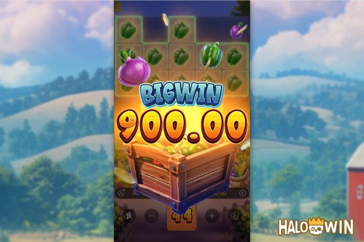 Bet 90 pesos and win 900 pesos on Farmstead Fortune Big Win. Bet 90 pesos and win 900 pesos on Farmstead Fortune Big Win.