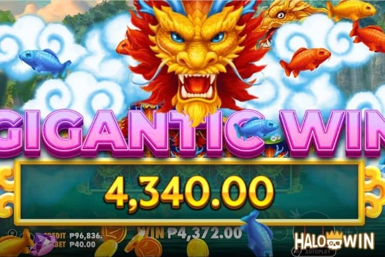 Bet 40 pesos and win 4,340 pesos on Dragon's Gate Bonus Choice Big Win. Bet 40 pesos and win 4,340 pesos on Dragon's Gate Bonus Choice Big Win.