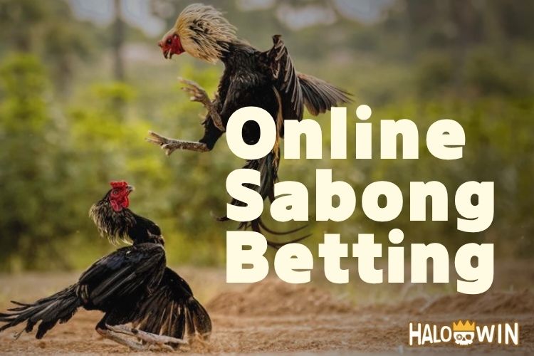 Online Sabong Betting Game: How to Bet & Know the Rules Online Sabong Betting Game: How to Bet & Know the Rules